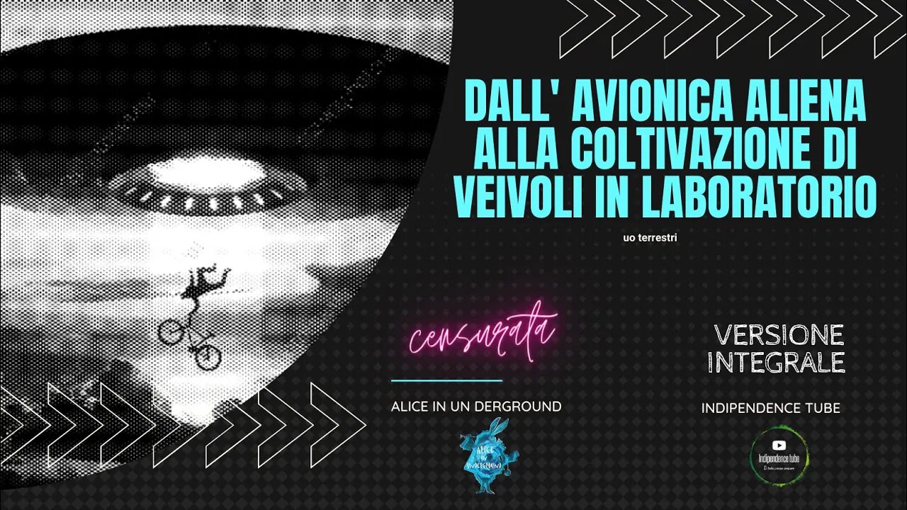 Dall' avionica aliena alla coltivazione di veivoli in laboratorio