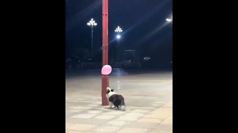 the most simple things can bring the most happiness #shorts #tiktok #border