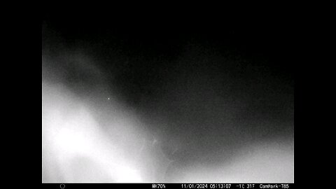 Deer Cam in Fog 11-01-2024