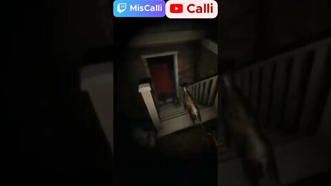 They Opened The house