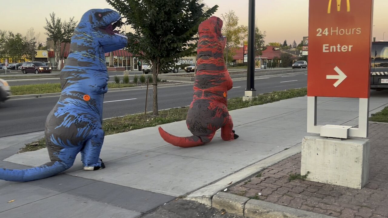 Only in the Hood