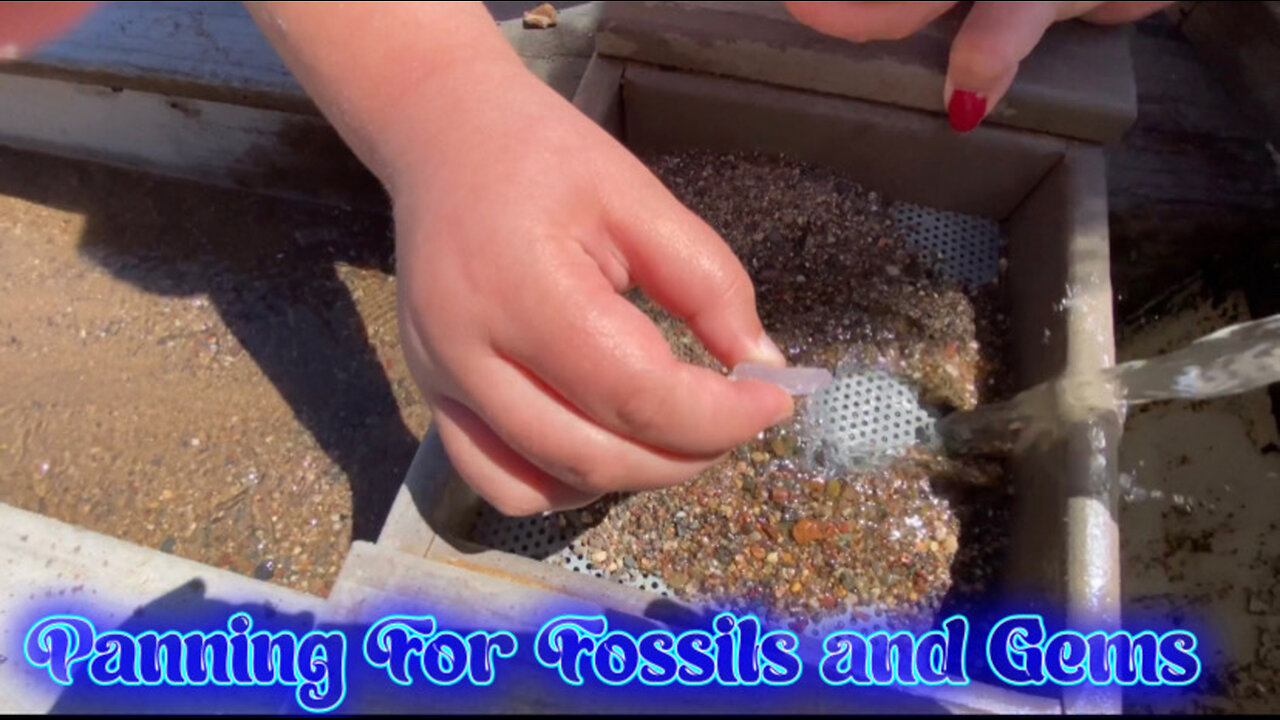 Panning For Fossils and Gems In Isle Minnesota