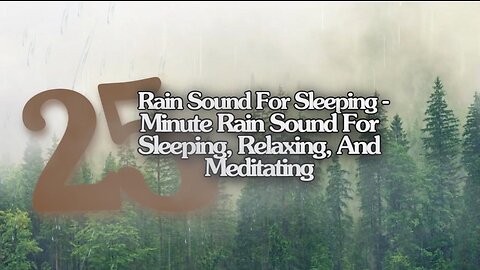 Rain Sound For Sleeping- 8 Hour Relaxing Rain Sound In Forest For Sleeping, Relaxing, And Meditating