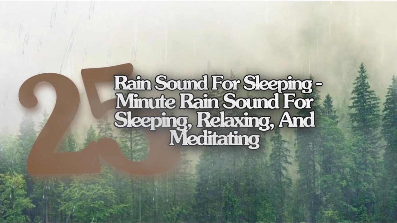 Rain Sound For Sleeping- 8 Hour Relaxing Rain Sound In Forest For Sleeping, Relaxing, And Meditating