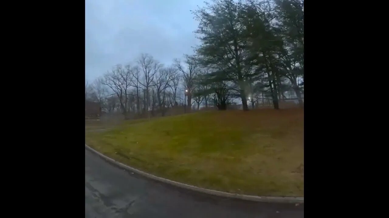 herd of deer in Genesee Valley Park via University of Rochester, NY