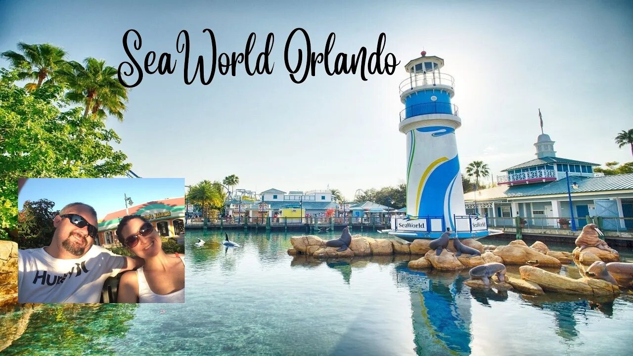 My favorite things about SeaWorld in 2022