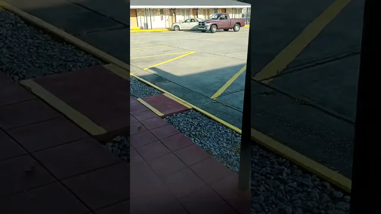 #narcissistic #gangstalkers like this are "mature" with "common sense, just because they're driving!