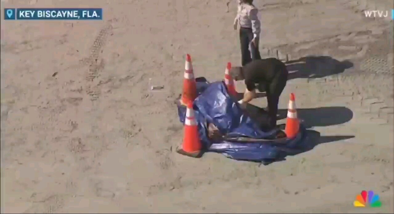 A human head has been found washed up on a beach in Florida, according to police.