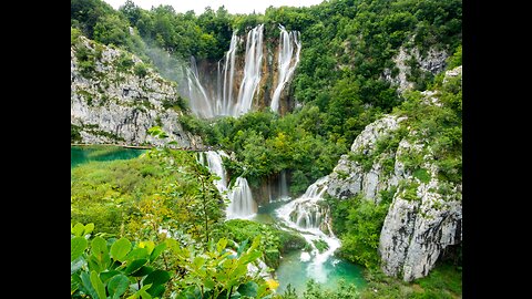 Soothing Melodies: Flute, Serene Avian Chirps, and Rainforest Ambiance