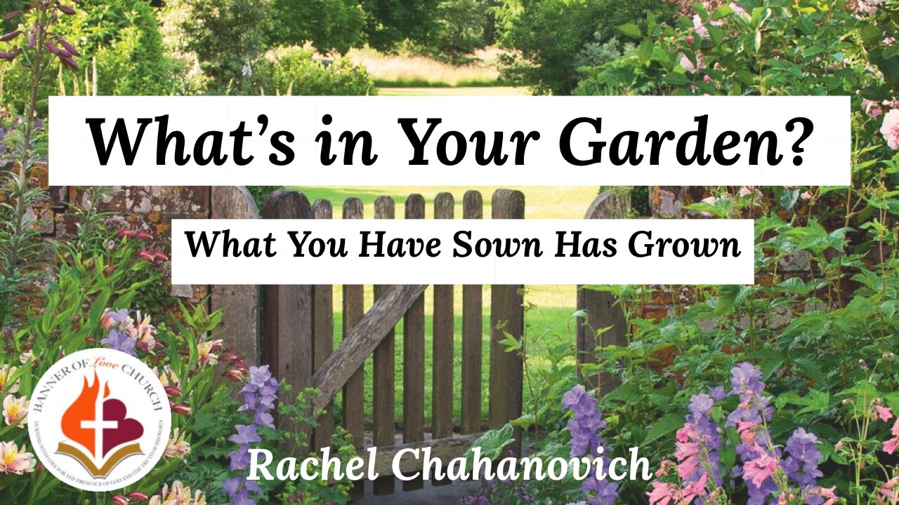 What's in Your Garden? - What You Have Sown Has Grown - Rachel Chahanovich 11th June 2023