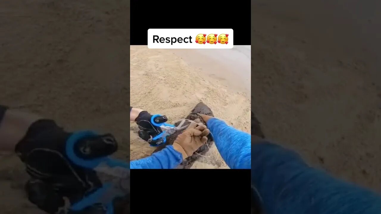 Míralo hasta el final #respect #viral #woa #satisfying #foryou #focas #foça