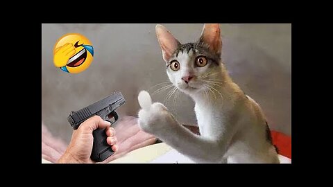 Animaux les plus drôles 2023 😂 Vidéos drôles de chats et de chiens 😺🐶