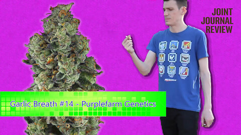 Kushector Joint Journal Review - Garlic Breath #14 by: Purplefarm Genetics