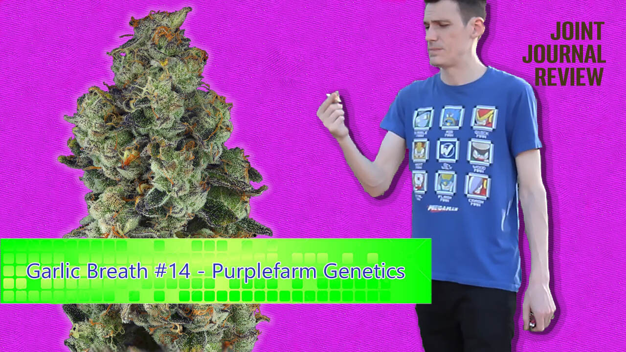 Kushector Joint Journal Review - Garlic Breath #14 by: Purplefarm Genetics