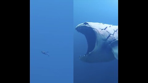 Incredible big shark in ocean!!!🦈🦈