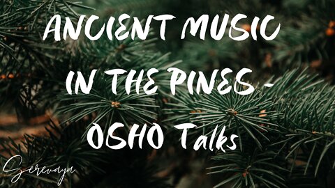 OSHO Talk on Zen Stories - Ancient Music In The Pines - The Meaning of Maturity - 2