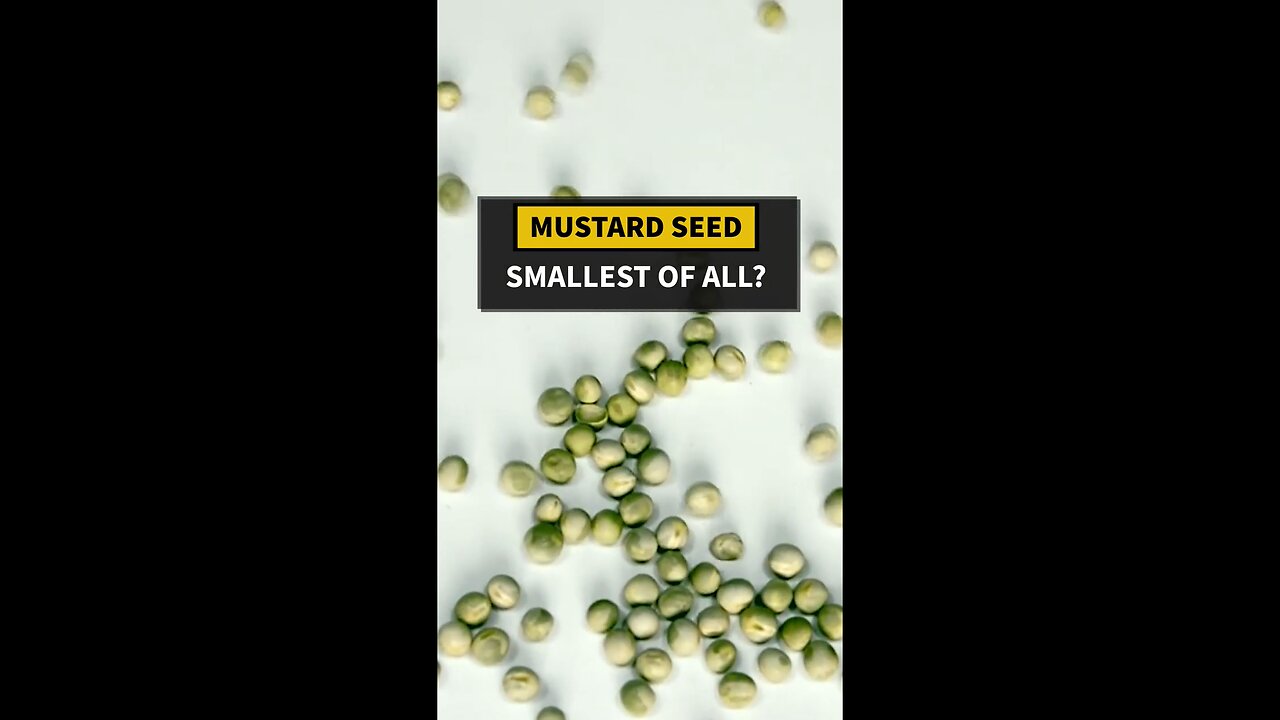 Is the Mustard Seed Smallest of All Seeds?