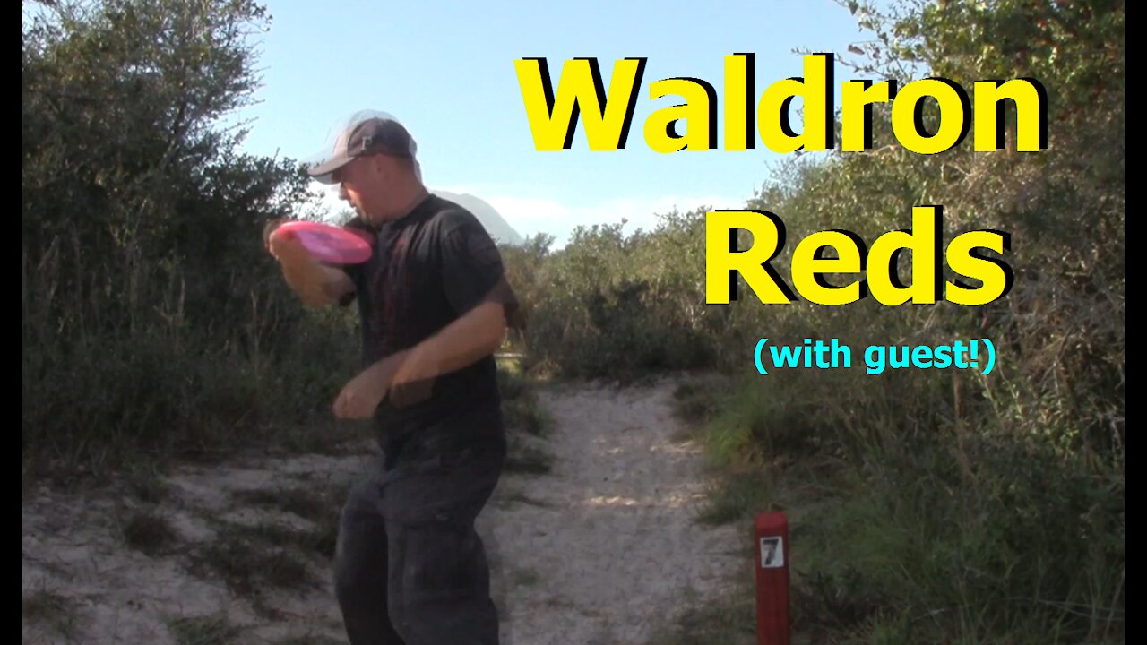 Waldron Red 9, with guest again!