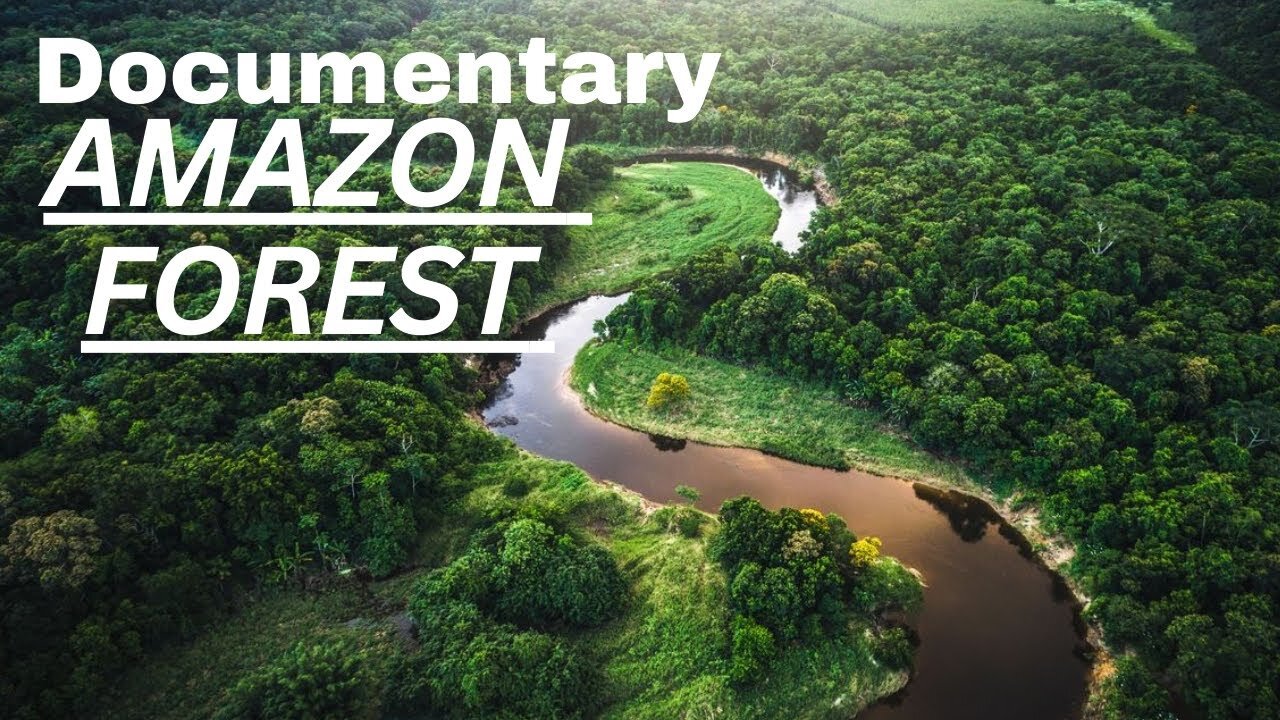 Documentary of Amazon Forest | History And Fact of Amazon Forest | SM Thrive | @MoueezAbbas.7 |