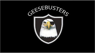 Geesebusters.com- Eagle Kite fools a Real Eagle