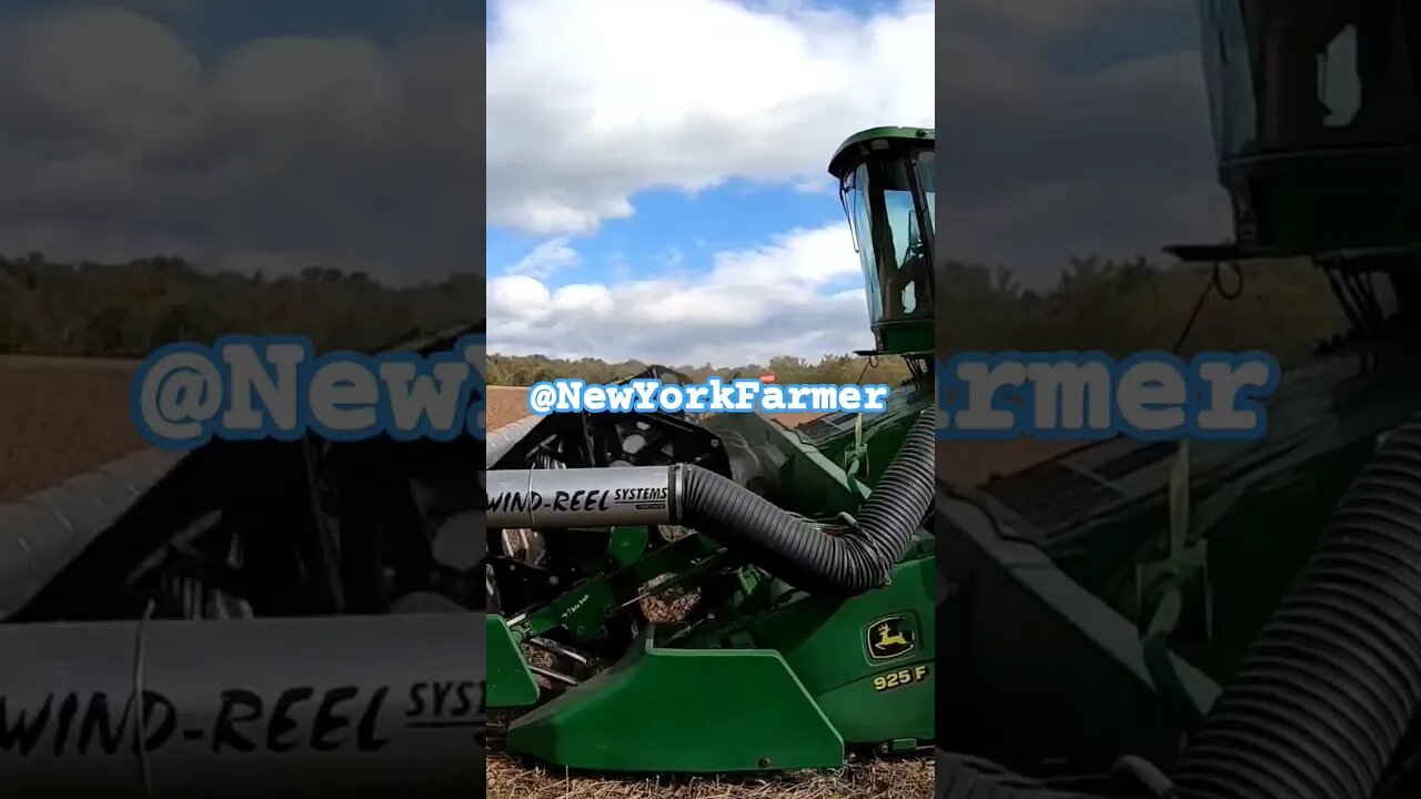 Keep them Beans Rolling 👌 #harvest2023 #johndeere #soybean #viral