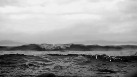 Sea sounds