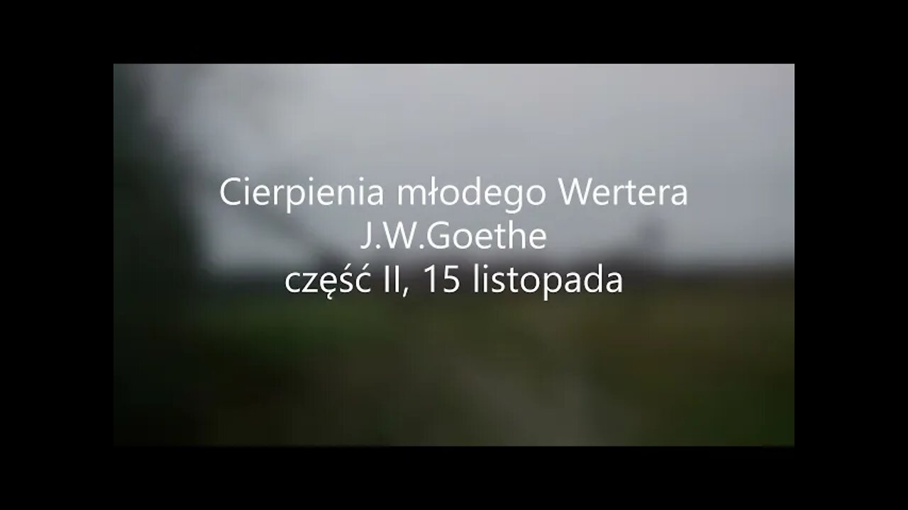 Cierpienia młodego Wertera - J.W.Goethe część II, 15 listopada