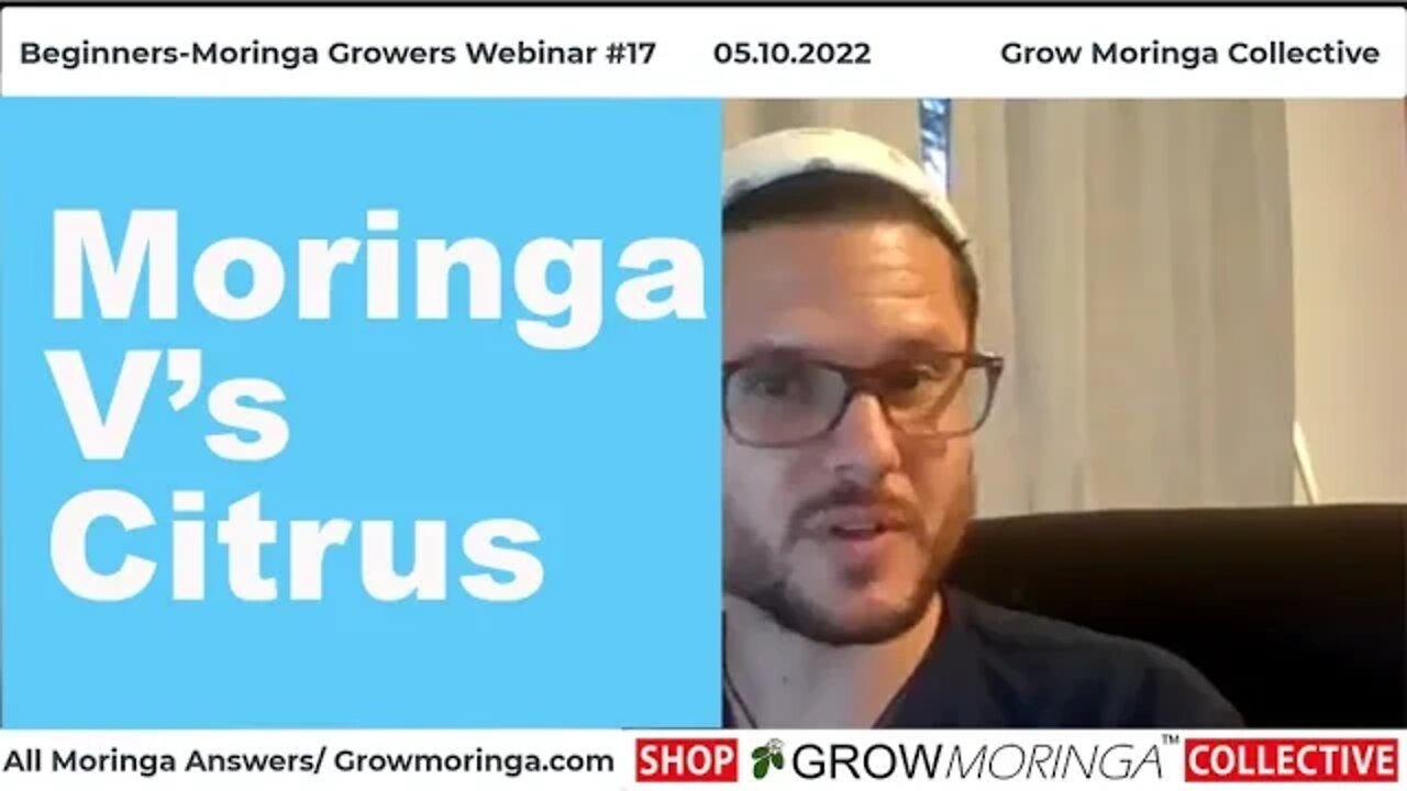 Moringa V's Citrus