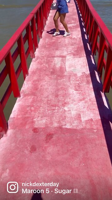 No dolphins around here