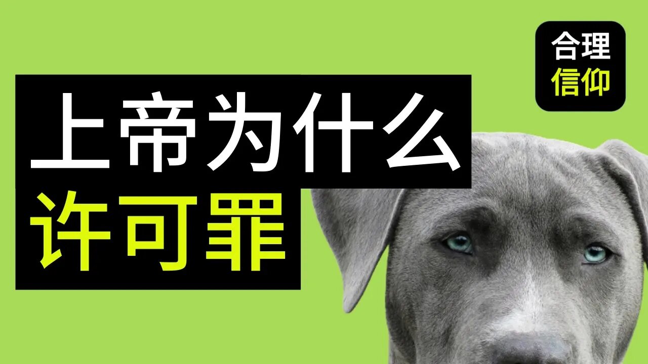 【大鸟合理的信仰 #22】 上帝为什么容许亚当和夏娃犯罪?信仰问题解答