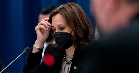 Kamala Harris Mocked for '5th Grade' Explanation of Russia-Ukraine War