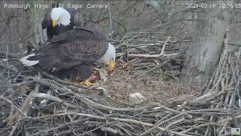 Hays Eagles Dad brings morning gift fish to Mom 2021 03 16 10:56AM