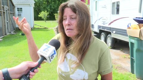 A call for the return of cows that wandered on a Newfane farm