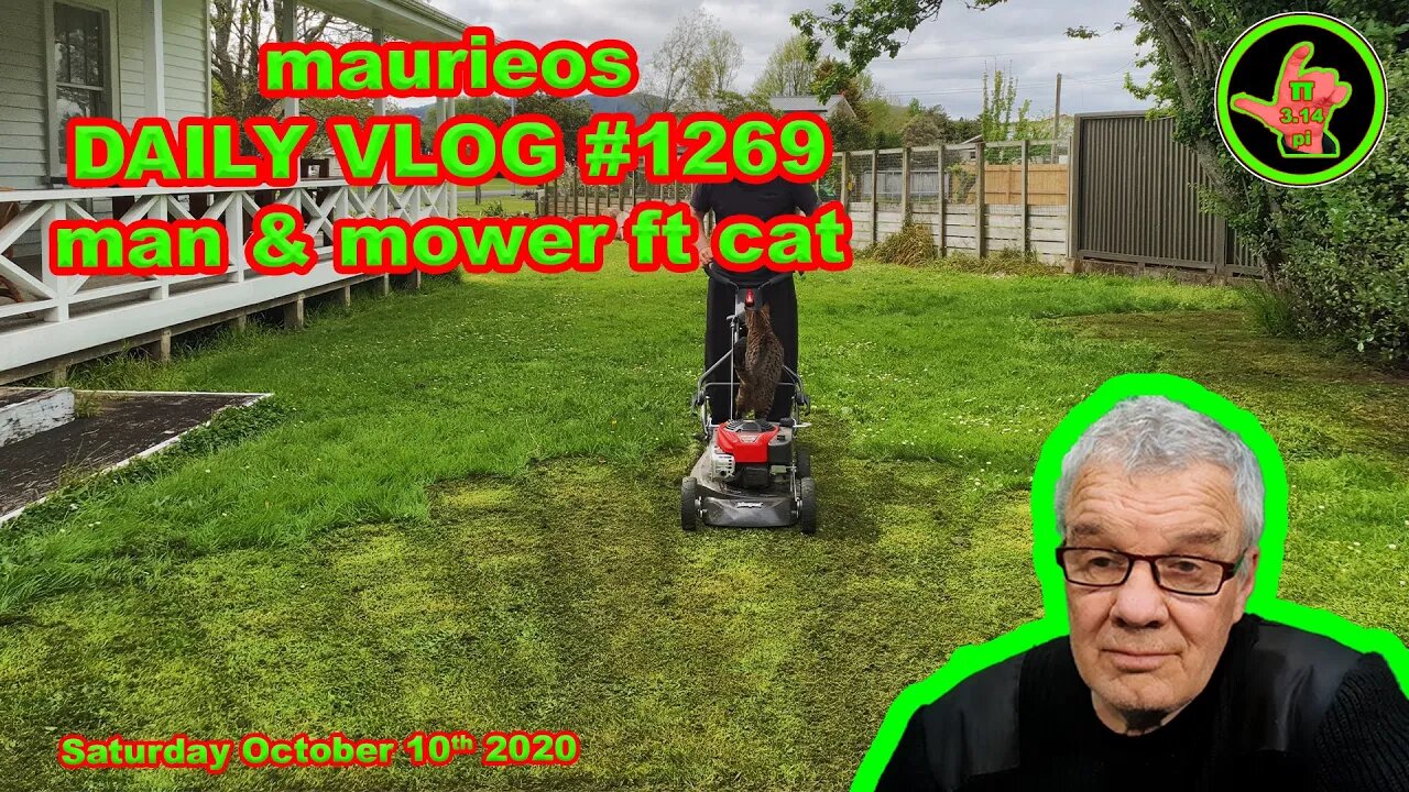maurieos DAILY VLOG #1269 man & mower ft cat