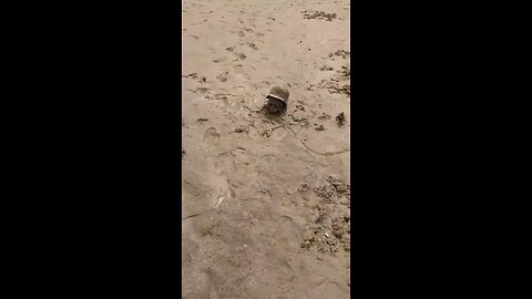 WW2 skull and helmet found in reservoir in Ukraine