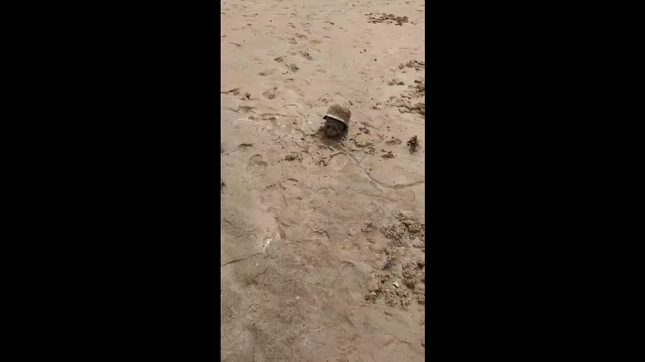 WW2 skull and helmet found in reservoir in Ukraine