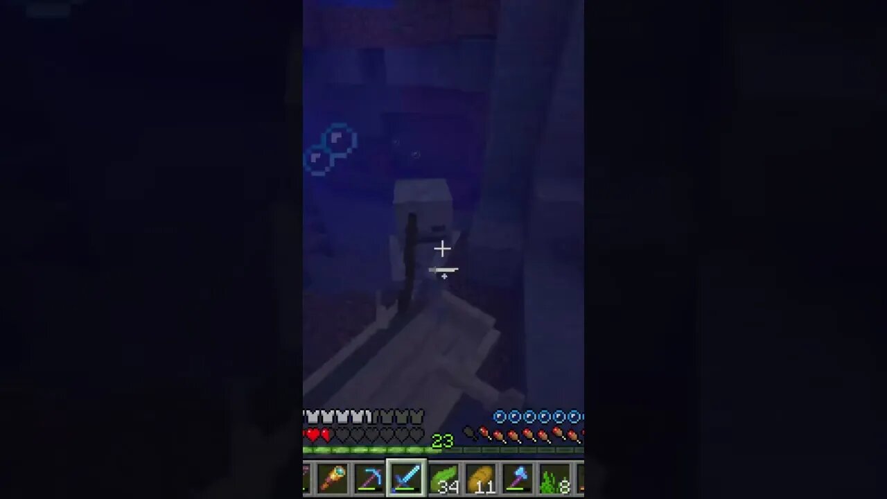 Minecraft 1.19 Survival Realms THE DEEP! New Server Fresh Start Java Edition PC SMP LP TikTok Gaming