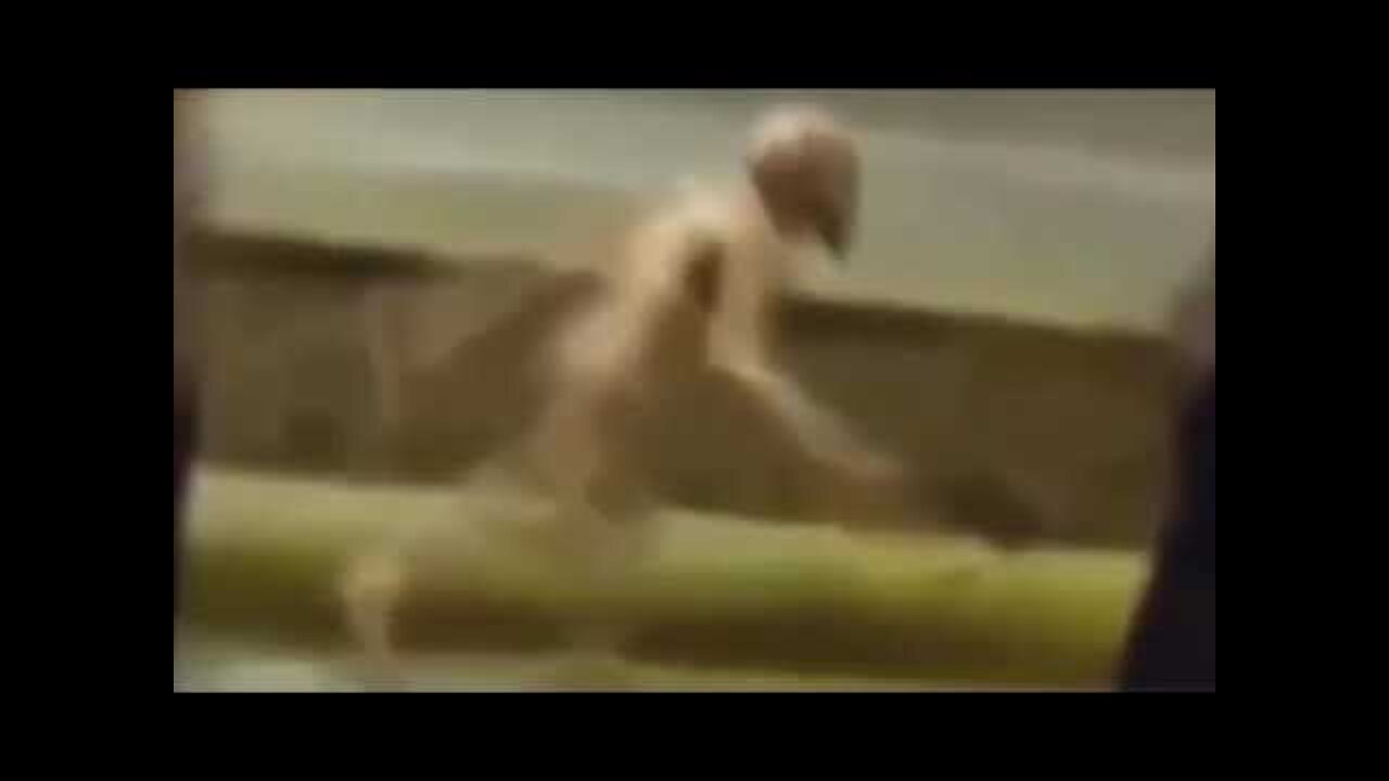 Aliens UFO's Caught On Cam