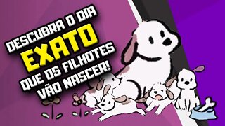 Como saber quantos filhotes a cadela vai ter? | Semana Especial Dia das Mães | Dr Edgard Gomes