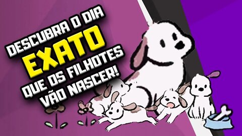 Como saber quantos filhotes a cadela vai ter? | Semana Especial Dia das Mães | Dr Edgard Gomes
