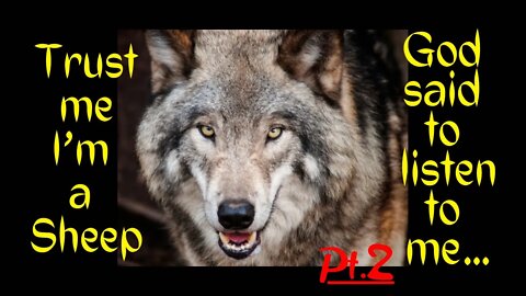 Wolves in sheep’s clothing Part 2. False Apostles and False Prophets. Episode 25