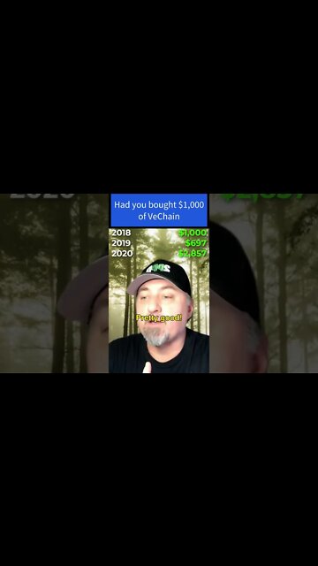 Had you bought $1,000 of VeChain 😲 #cryptonews