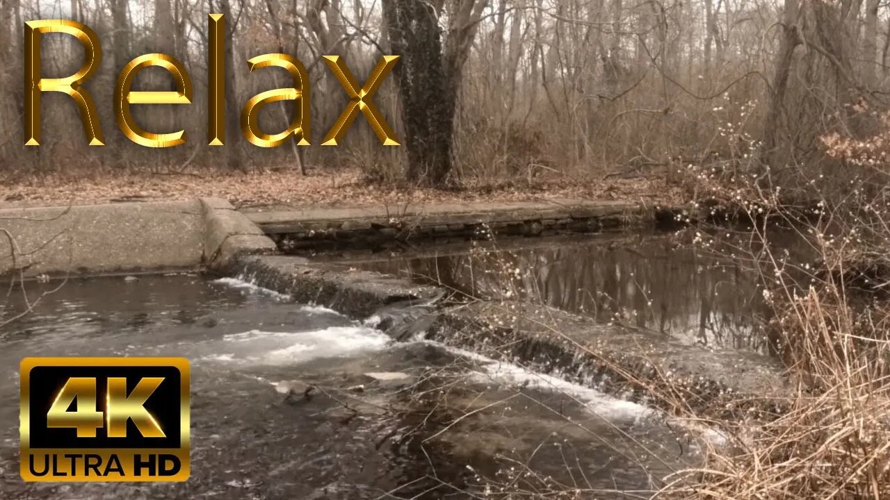 Refreshing Stream in Massapequa Preserve