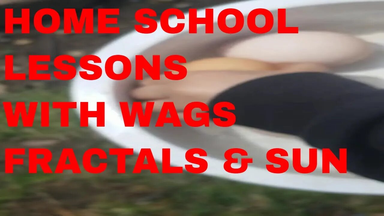 Home School with #WagsChicago - Lets learn about #Fractals & #Snakes - April 21, 2022