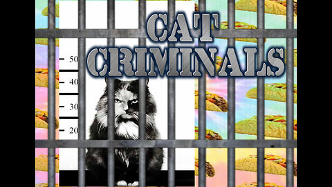 Cat Criminals