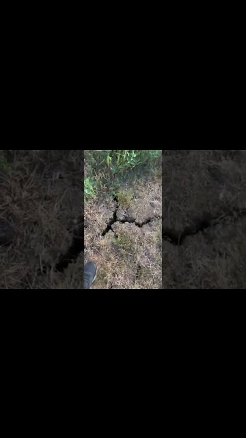 Bottomless Drought Cracks
