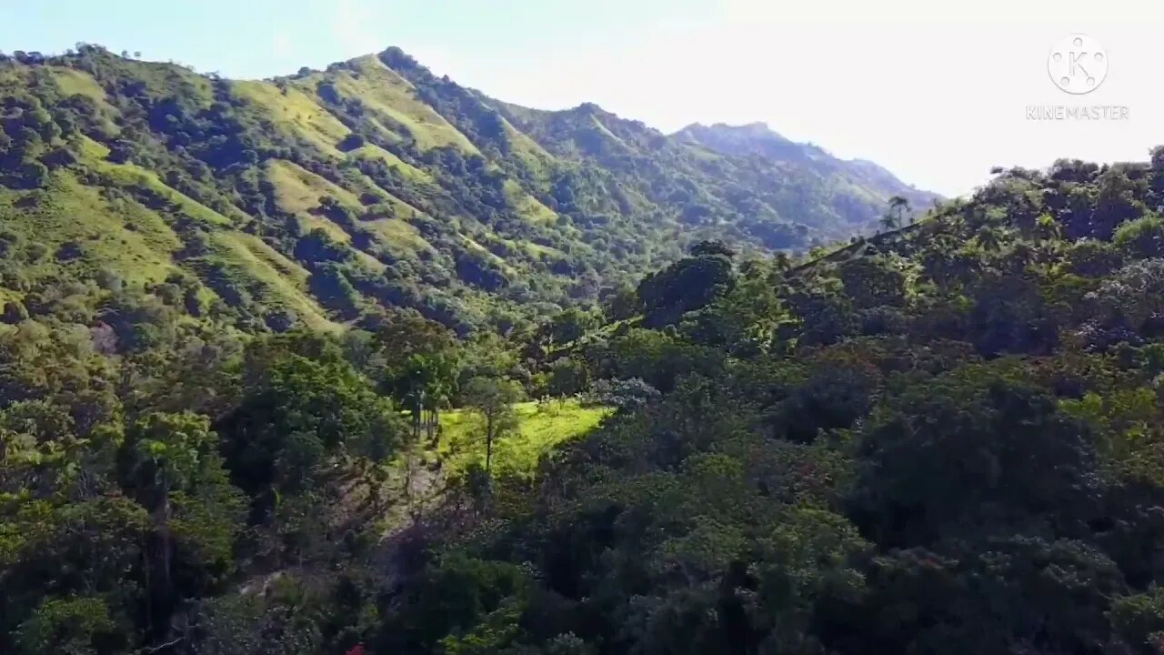 VOCÊ QUER MUDAR A SUA VIDA PARA MELHORAR...VOCÊ PRECISA ASSISTIR A ESSE VÍDEO