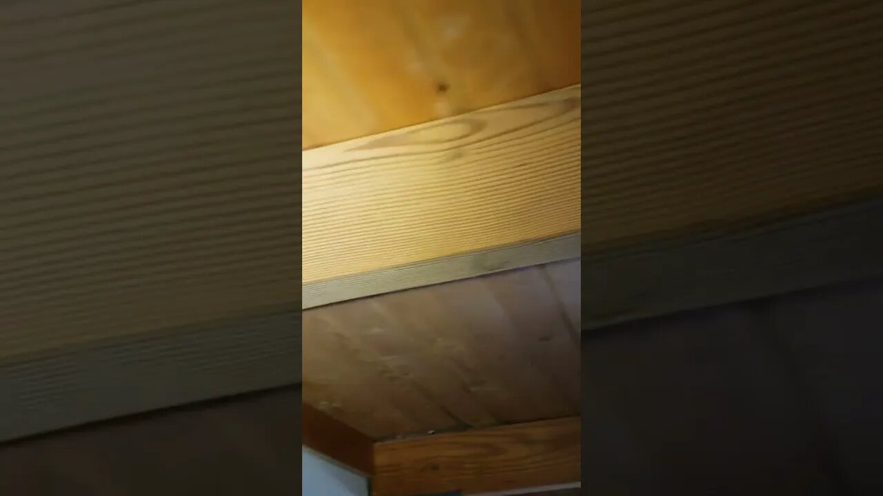 What do you think caused this ceiling to sag?