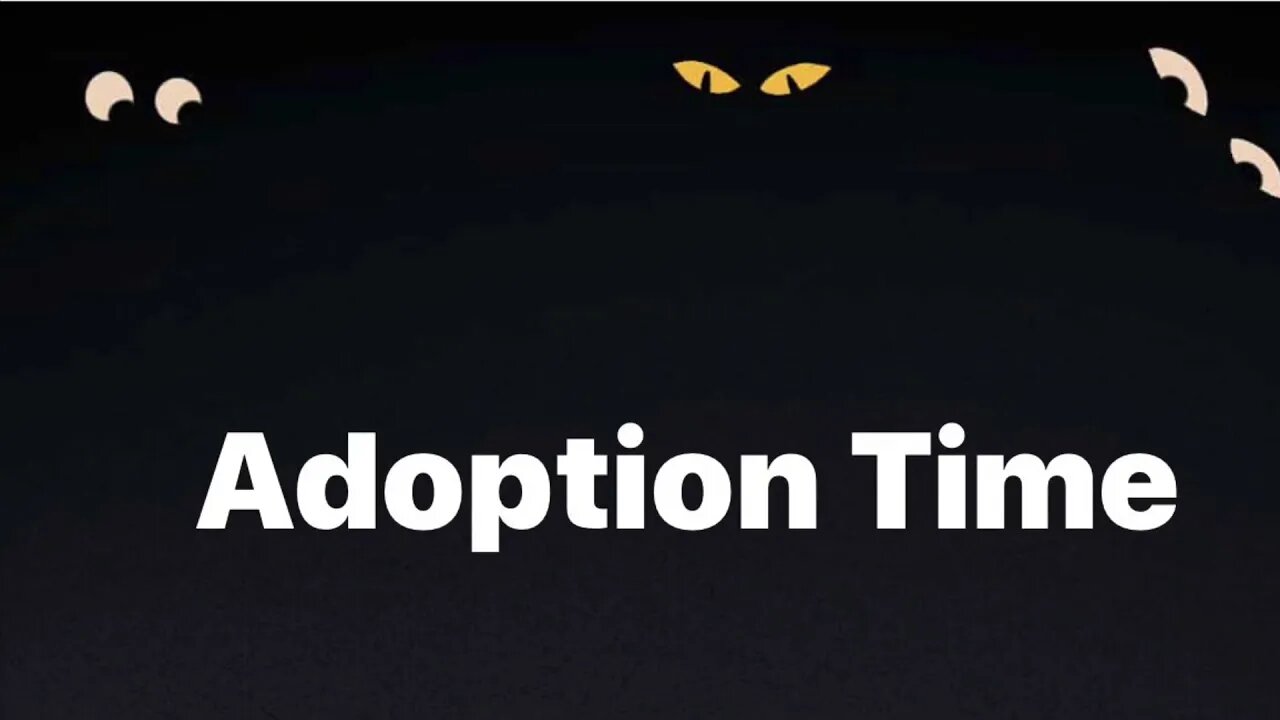 Monday Adoption Time