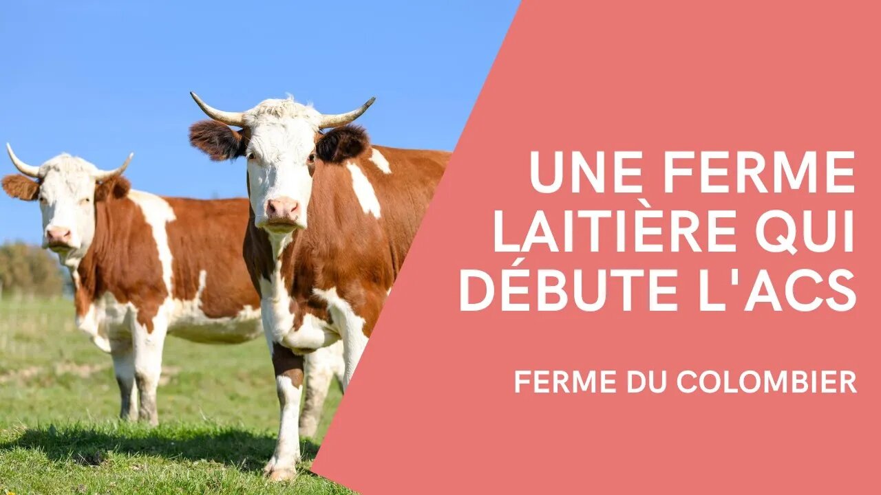 Une ferme laitière qui débute l'ACS - Ferme du Colombier